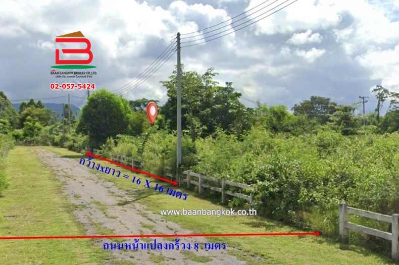 3-LINE_ALBUM_N.10251ที่ดิน64ตรวเดอะสกายปากช่อง_250106_1013