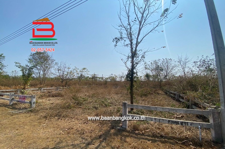 3-LINE_ALBUM_N.10251ที่ดิน64ตรวเดอะสกายปากช่อง_250106_913