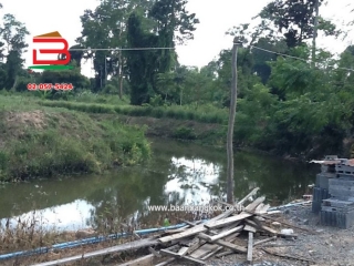 3-LINE_ALBUM_No.10297ที่ดิน+บ้าน1ไร่10ตร.ว(บ้านโคกคอมสระบุรี)_250121_613
