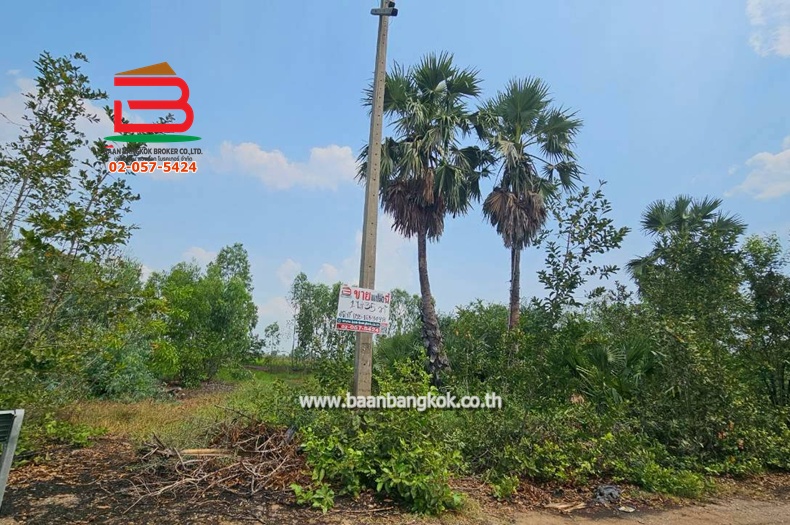 ที่ดินเปล่า หมู่บ้าน อริสรา ลาดบัวหลวง เนื้อที่ 1-0-35 ไร่ ถนนบางบัวทอง-สุพรรณบุรี อ.ลาดบัวหลวง จ.อยุธยา