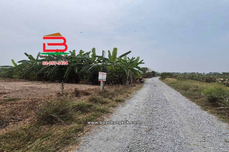 LINE_ALBUM_2025.2.24_250224_5