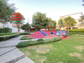 S__71016482_0