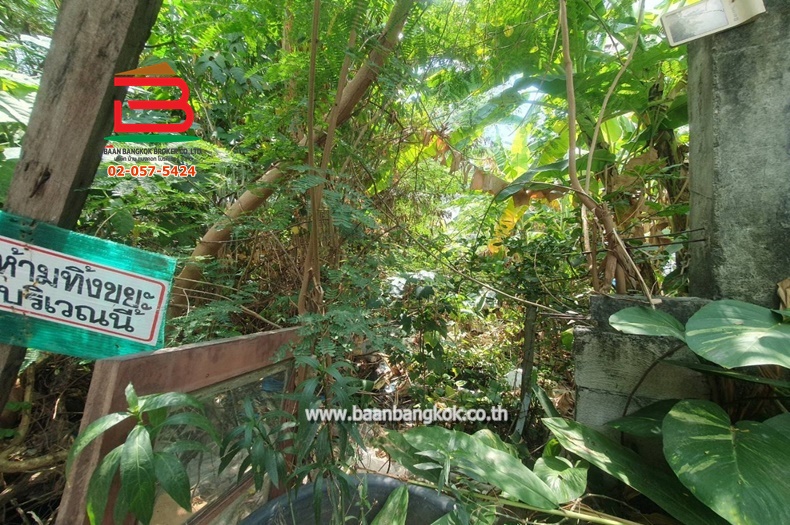 LINE_ALBUM__10205ที่ดิน73ตรว.อ่อนนุช70แยก3_250315_22