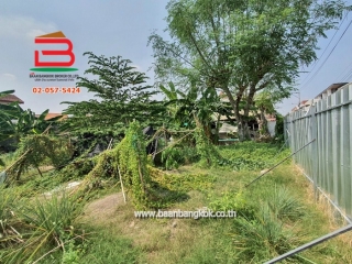 LINE_ALBUM_No.010528 ที่ดินเปล่าซ.ลาดพร้าว83_250331_12