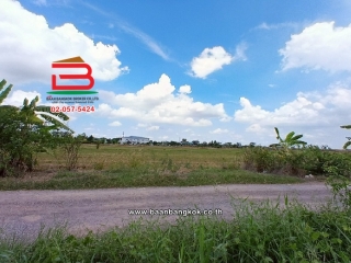 LINE_ALBUM_No.10554 LD 1 ไร่ คลองสระพัฒนา สามโคก ประทุมฯ(เอ๋)_250421_27