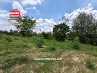 LINE_ALBUM_N.10212ที่ดินเปล่า 800 ตารางวาพนมสารคาม_250428_4