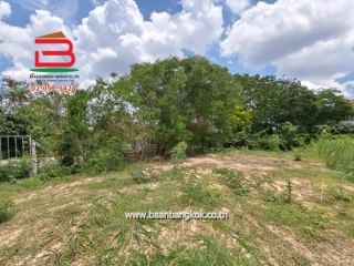 LINE_ALBUM_N.10212ที่ดินเปล่า 800 ตารางวาพนมสารคาม_250428_5