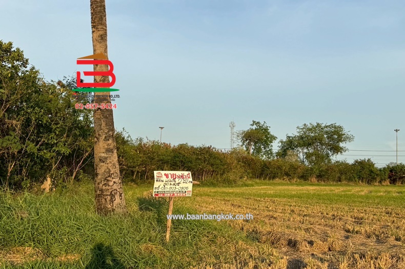 LINE_ALBUM_N10445. LD. 2ไร่2 งาน สามโคก_250428_11