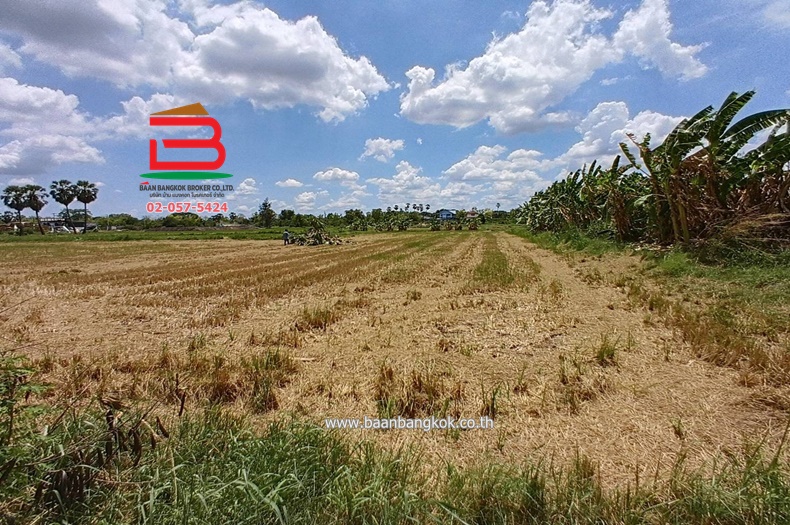 LINE_ALBUM_N10445. LD. 2ไร่2 งาน สามโคก_250428_4