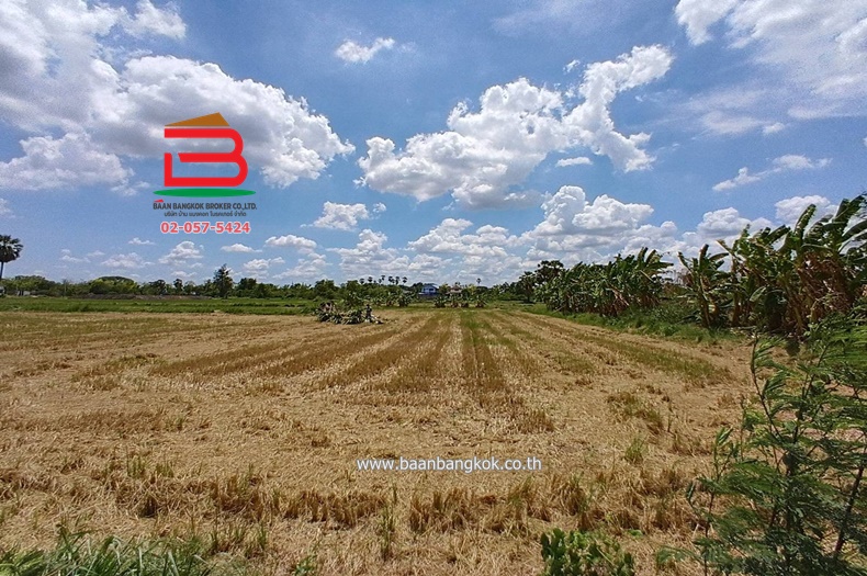 LINE_ALBUM_N10445. LD. 2ไร่2 งาน สามโคก_250428_5
