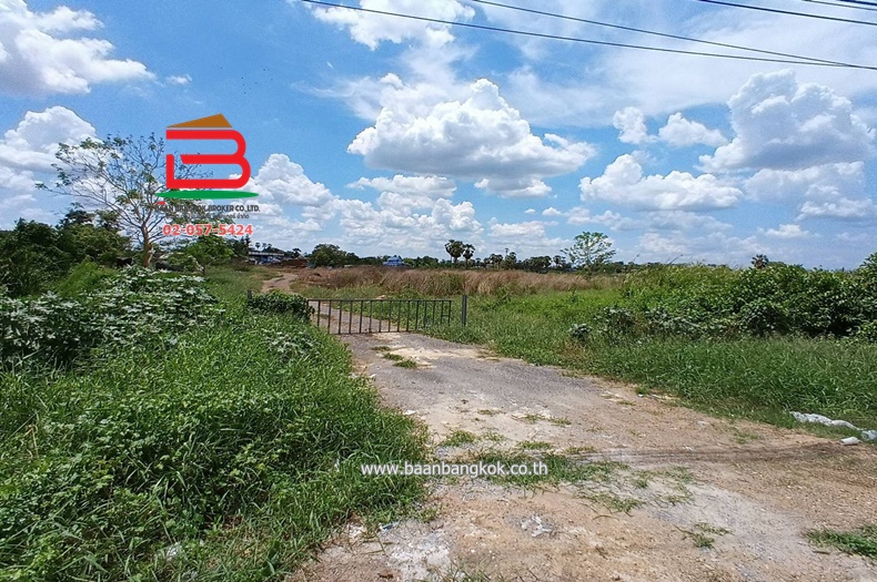 LINE_ALBUM_N10445. LD. 2ไร่2 งาน สามโคก_250428_9