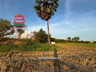 LINE_ALBUM_N10445. LD. 2ไร่2 งาน สามโคก_250428_12