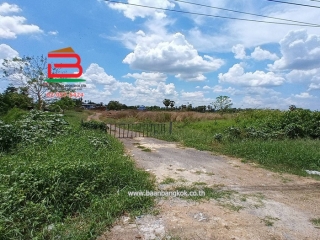 LINE_ALBUM_N10445. LD. 2ไร่2 งาน สามโคก_250428_9