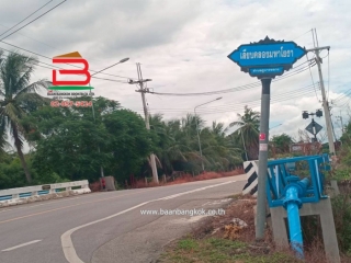 LINE_ALBUM__10486ที่ดิน3.1.56ไร่คูบางหลวง_250616_11
