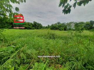 LINE_ALBUM__10486ที่ดิน3.1.56ไร่คูบางหลวง_250616_16
