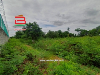 LINE_ALBUM__10486ที่ดิน3.1.56ไร่คูบางหลวง_250616_17