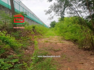 LINE_ALBUM__10486ที่ดิน3.1.56ไร่คูบางหลวง_250616_18