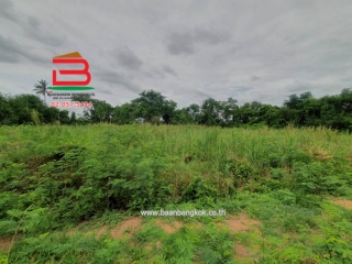 LINE_ALBUM__10486ที่ดิน3.1.56ไร่คูบางหลวง_250616_19