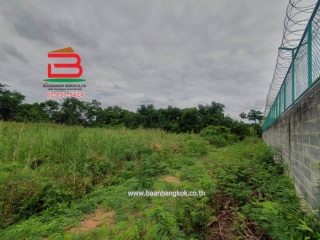 LINE_ALBUM__10486ที่ดิน3.1.56ไร่คูบางหลวง_250616_20