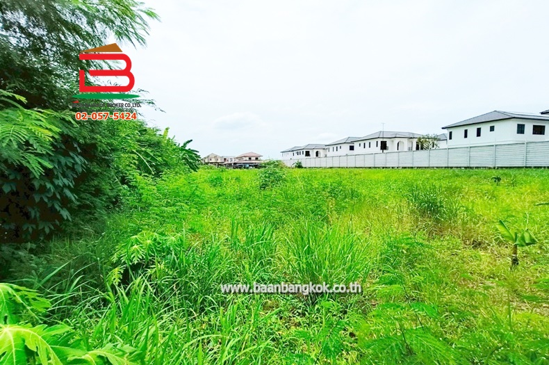 LINE_ALBUM_N.010796 LD 870 ตร.ว. ม.ฟ้าใหม่ 345_250616_9