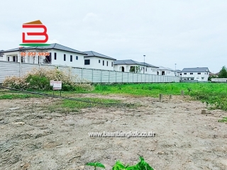 LINE_ALBUM_N.010796 LD 870 ตร.ว. ม.ฟ้าใหม่ 345_250616_15