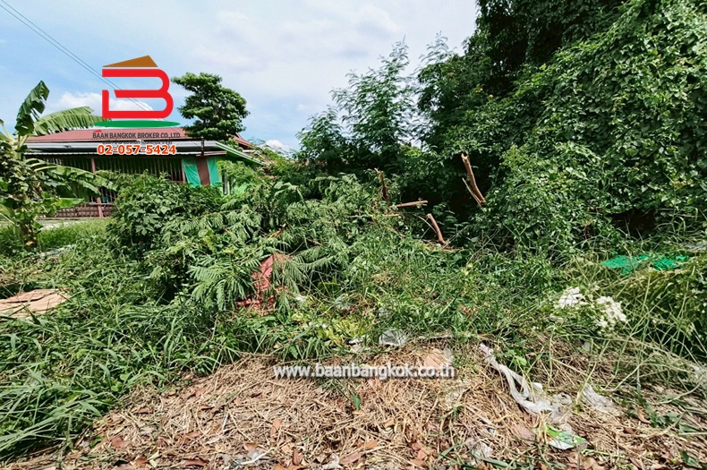 LINE_ALBUM_N.10430LD 60 ตร.ว.คลองสาม65_250623_1