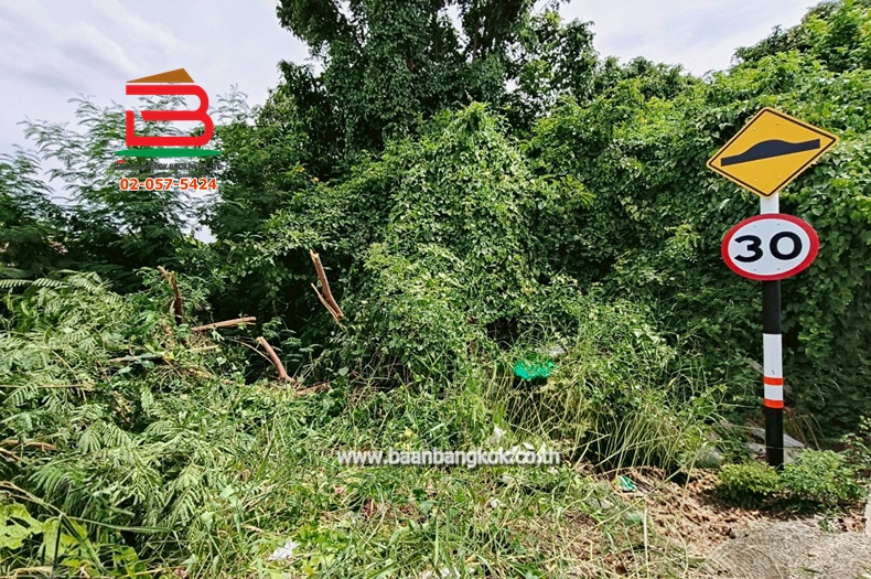 LINE_ALBUM_N.10430LD 60 ตร.ว.คลองสาม65_250623_2