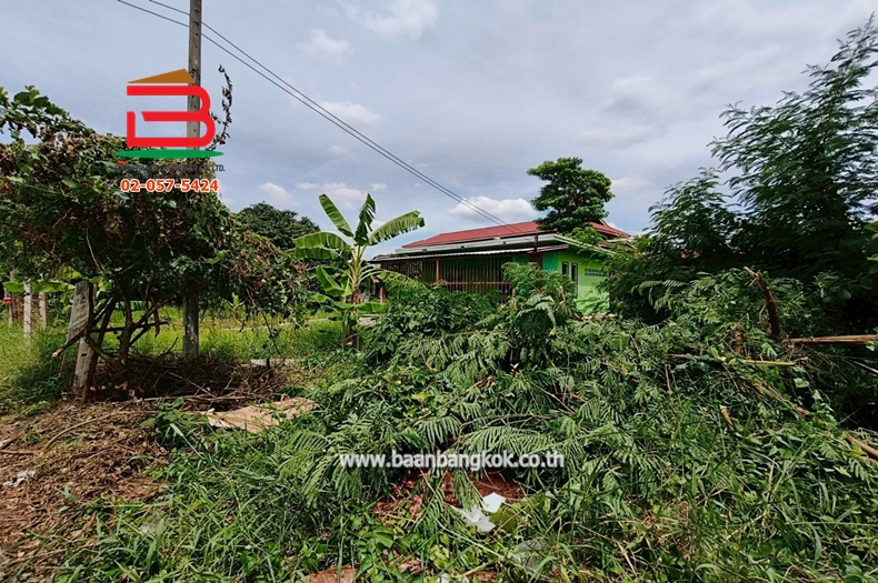 LINE_ALBUM_N.10430LD 60 ตร.ว.คลองสาม65_250623_3