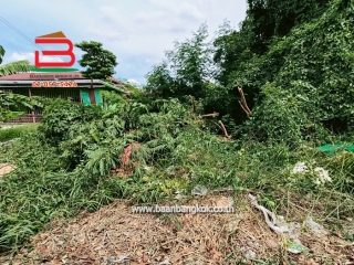 LINE_ALBUM_N.10430LD 60 ตร.ว.คลองสาม65_250623_1