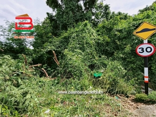 LINE_ALBUM_N.10430LD 60 ตร.ว.คลองสาม65_250623_2