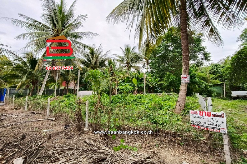 ที่ดินเปล่า ท่านัด-ดำเนินสะดวก เนื้อที่ 137 ตร.ว (ใกล้โรงพยาบาลส่งเสริมสุขภาพตำบลท่านัด) ตำบลท่านัด อำเภอดำเนินสะดวก จังหวัดราชบุรี  