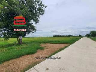 LINE_ALBUM_No.10873 ที่ดินต.หนองน้ำส้ม อ.อุทัย_250729_19