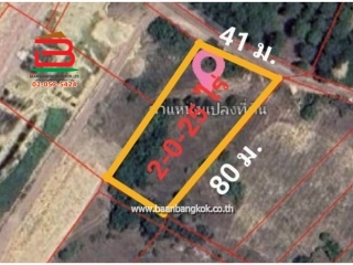 LINE_ALBUM_No.10922 ที่ดินเปล่าต.ตะพง อ.เมืองระยอง_250730_14