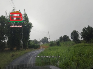 12520, ที่ดินเปล่า เนื้อที่ 1-0-54.4 ไร่ ใกล้วัดห้วยผักชี ถนนทางหลวงพิเศษหมายเลข 81 สายบางใหญ่-กาญจนบุรี ตำบลทุ่งลูกนก อำเภอกำแพงแสน จังหวัดนครปฐม