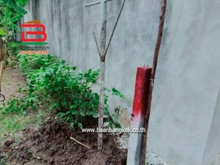 LINE_ALBUM_L.010830ที่ดินเมืองเอก78วาLek_250731_15