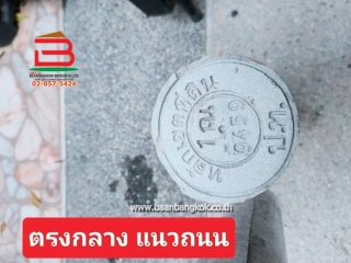 LINE_ALBUM_L.010830ที่ดินเมืองเอก78วาLek_250731_17