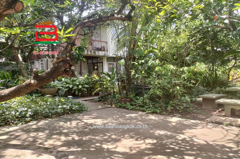 LINE_ALBUM_N.10948ที่ดินพร้อมบ้าน256ตรวลาดพร้าว64แยก10_250809_21