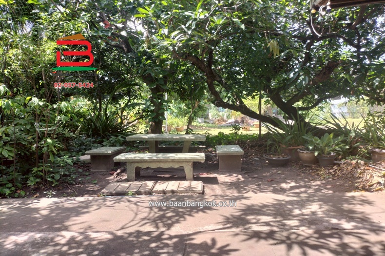 LINE_ALBUM_N.10948ที่ดินพร้อมบ้าน256ตรวลาดพร้าว64แยก10_250809_22