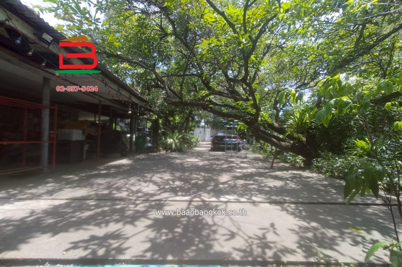 ที่ดินพร้อมสิ่งปลูกสร้าง ลาดพร้าว 64 แยก 10 เนื้อที่ 256 ตรว. เขตบางกะปิ กรุงเทพมหานคร 