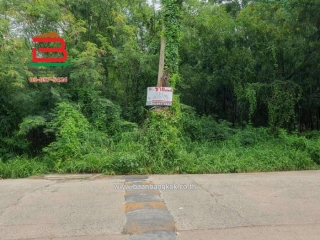 10884, ที่ดินเปล่า หมู่บ้าน ฟีนิกซ์ ปาร์ค ซอยไอยรา 28 เนื้อที่ 249 ตรว. ถนนไอยรา ตำบลคลองสอง อำเภอคลองหลวง จังหวัดปทุมธานี