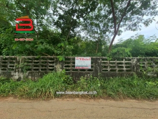 11037, ที่ดิน ซอยประชาสำราญ 3 หนองจอก เนื้อที่ 100 ตรว. หนองจอก กรุงเทพมหานคร