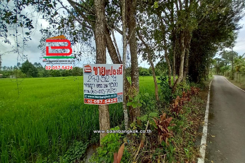 ที่ดินเปล่า บ้านเนินหอม(ม.4) เนื้อที่ 29-0-52 ไร่ ( เทศบาลซอย 12) ตำบลเนินหอม อำเภอเมืองปราจีนบุรี ปราจีนบุรี    