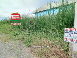 11232, ที่ดินเปล่า ชุมชนสุสวาส 2 เนื้อที่ 75 ตร.ว (ใกล้การไฟฟ้าส่วนภูมิภาคสถานีไฟฟ้าคลองเจ็ด) ตำบลลำผักกูด อำเภอธัญบุรี ปทุมธานี   