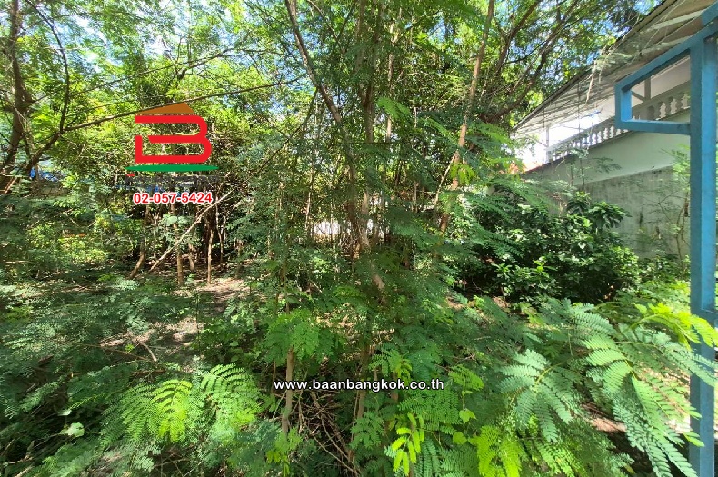 LINE_ALBUM_010813 ที่ดินถมแล้ว ซ.เพชรเกษม 68 แยก 31_251015_18