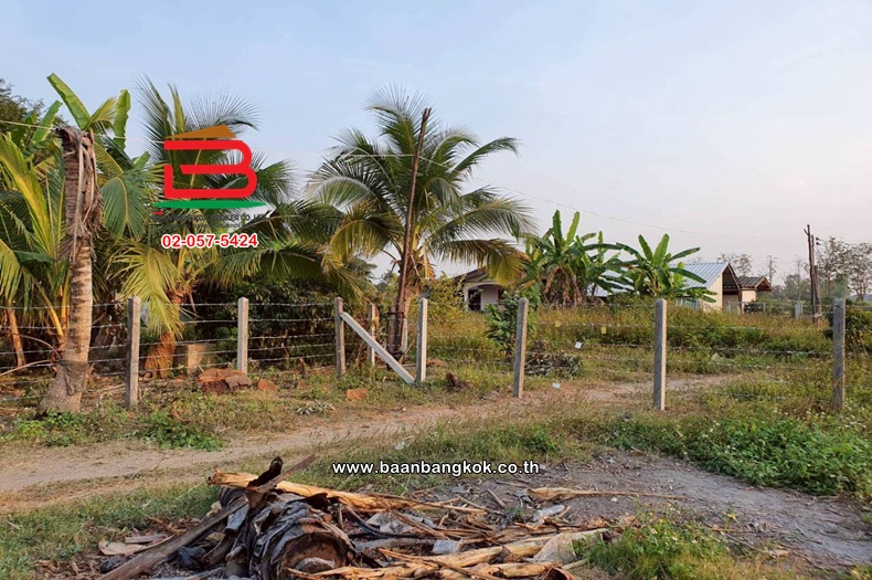 LINE_ALBUM_No.011235ที่ดินเปล่า222.4ตรว.บ้านหนองฮ่าง[ตาน]_251028_17