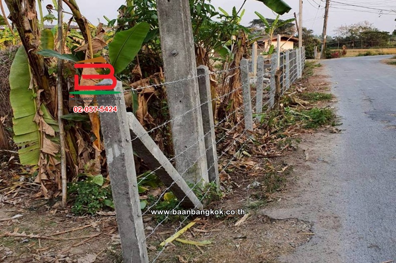 LINE_ALBUM_No.011235ที่ดินเปล่า222.4ตรว.บ้านหนองฮ่าง[ตาน]_251028_31