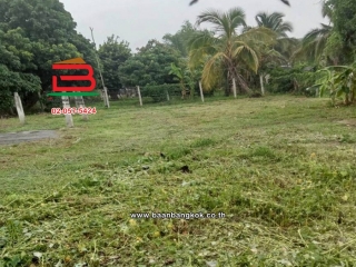 LINE_ALBUM_No.011235ที่ดินเปล่า222.4ตรว.บ้านหนองฮ่าง[ตาน]_251028_30