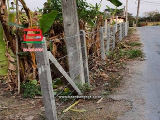 LINE_ALBUM_No.011235ที่ดินเปล่า222.4ตรว.บ้านหนองฮ่าง[ตาน]_251028_31