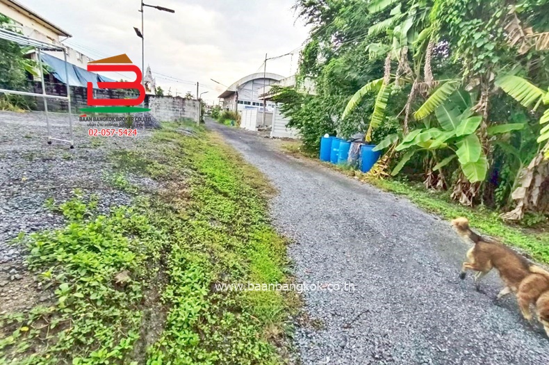 LINE_ALBUM_No.11158ที่ดินเปล่า ซ.ร่วมสุข419(ซซ.บ้านพักคนชรา)_251201_9