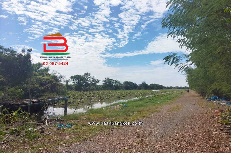 LINE_ALBUM_N.11423ที่ดิน44ไร่หนองเสืลลอคลอง11ปทุมธานี_251215_15